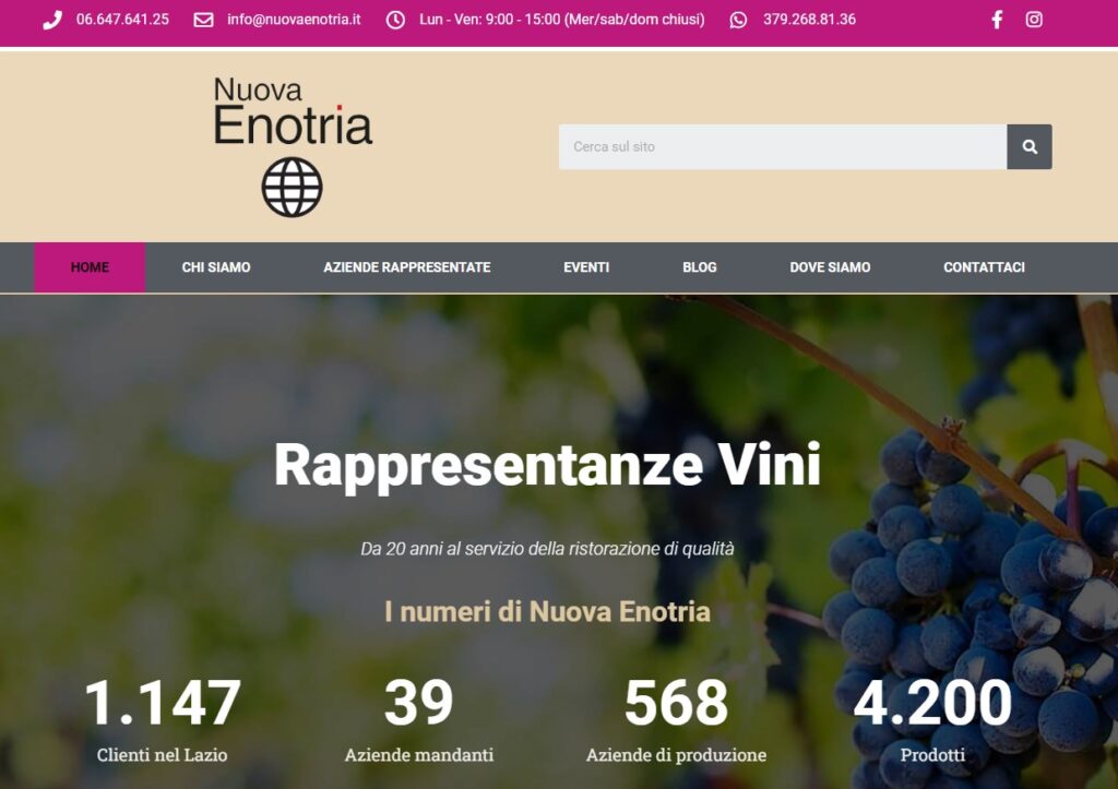 nuovaenotria.it